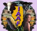 State and County Fairs